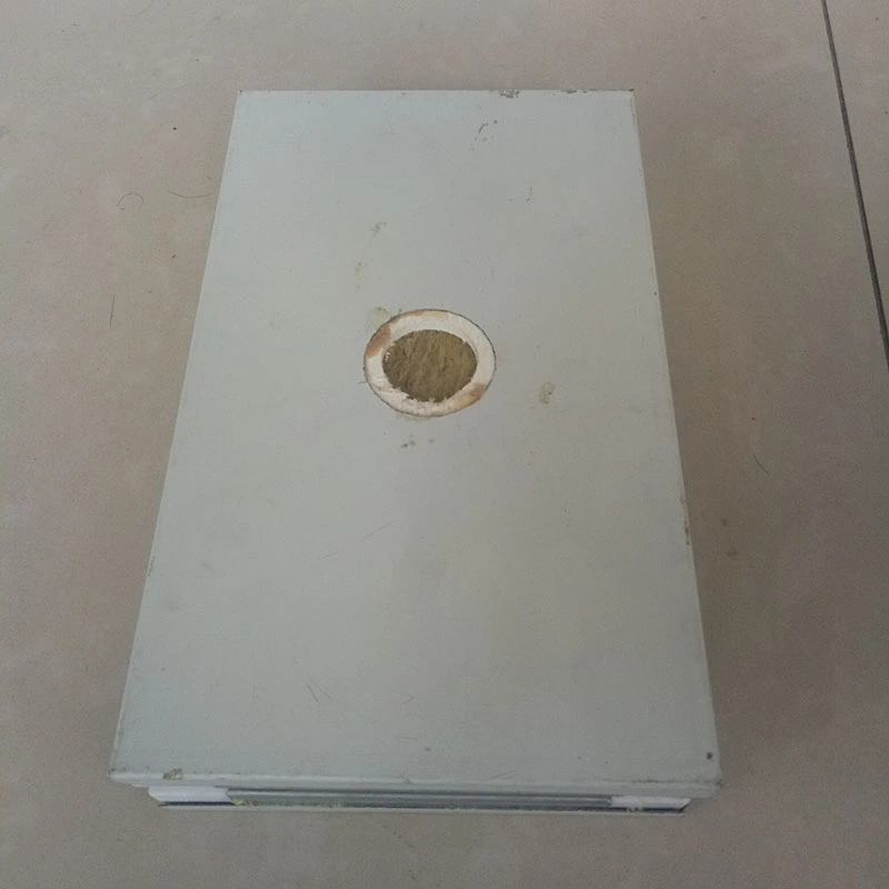 ہاتھ سے تیار کلین روم پینلز